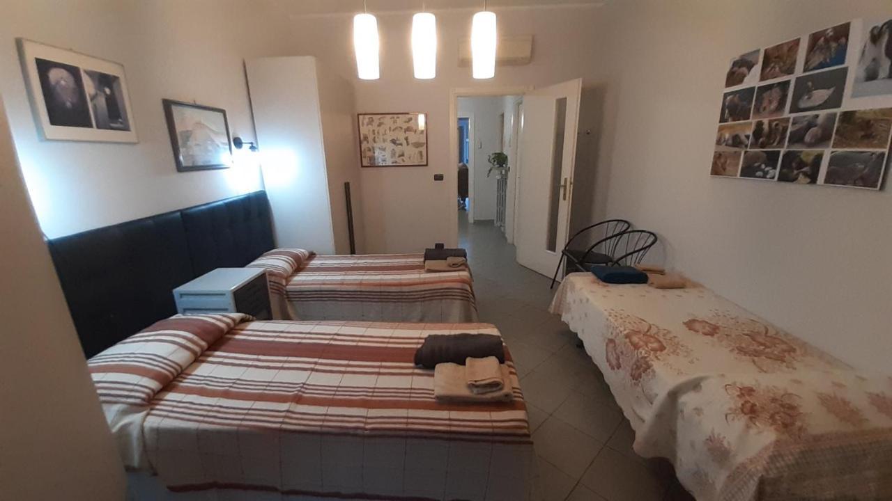 Metronear Apartment Collegno Exterior foto